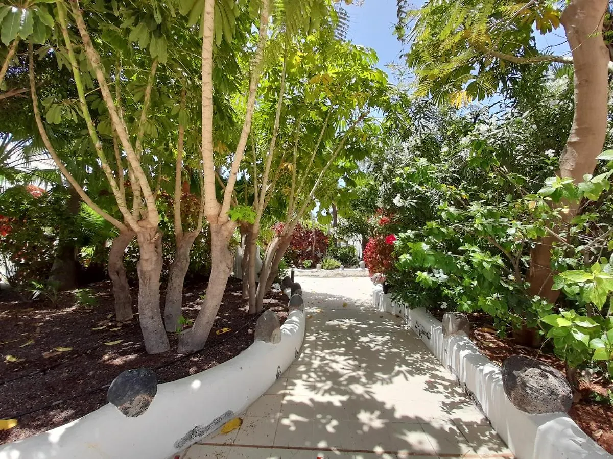 Appartement Parque Don José 390 à Arona  Arona (Tenerife)