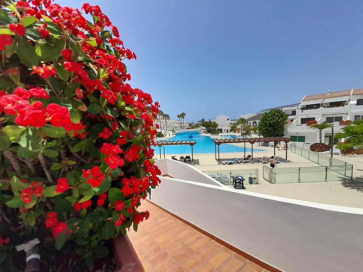 Ferienwohnung Parque Don Jose 390 Arona  Spanien